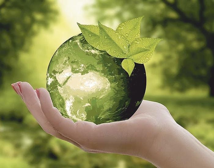 Going green for a better future post image