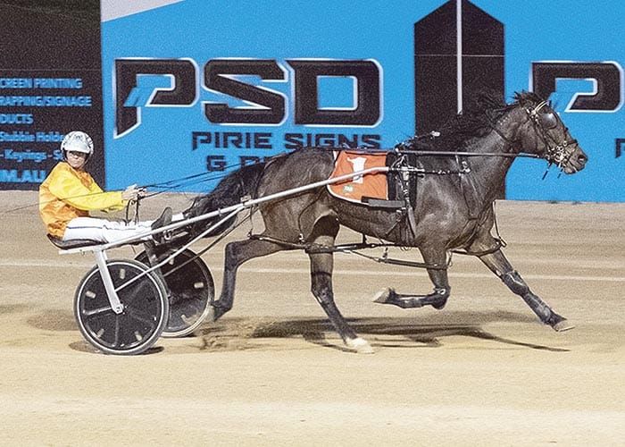 Kadina Cup raced at Port Pirie post image