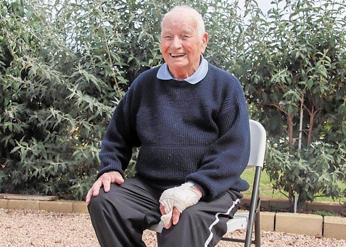 Kangaroo delivers a blow post image