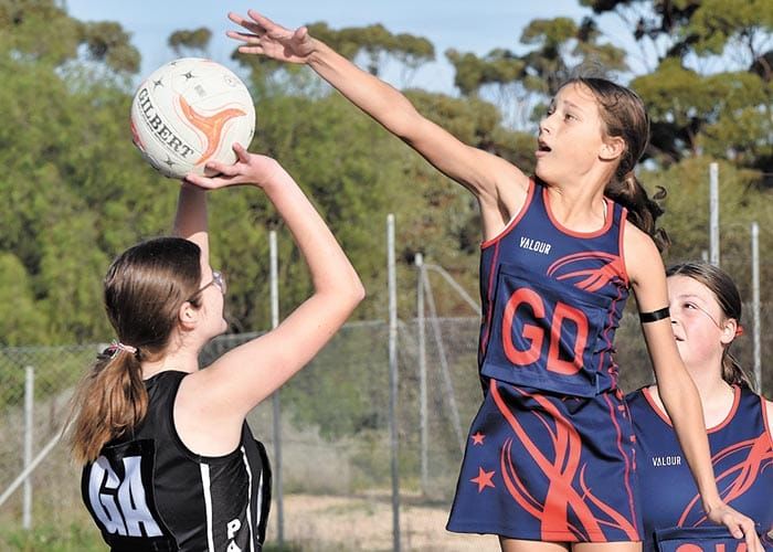 YPNA scores and reports post image