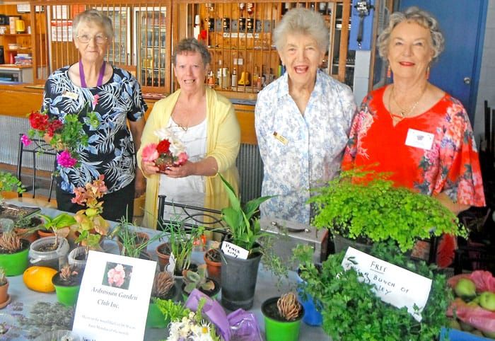Ardrossan Garden Club at Yorke on a Fork fair post image