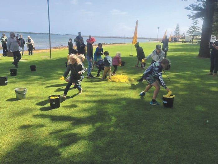 Quacking day for ducks post image