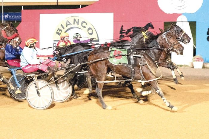 YP harness racing news post image