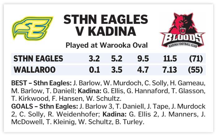 YPFL: Eagles’ experience ensures a victory post image