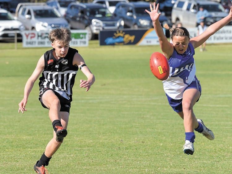 YPFL junior colts preliminary final - Magpie madness rolls into grand final post image