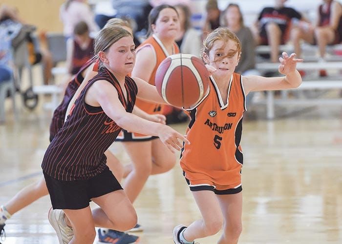 Yorke Valley basketball post image