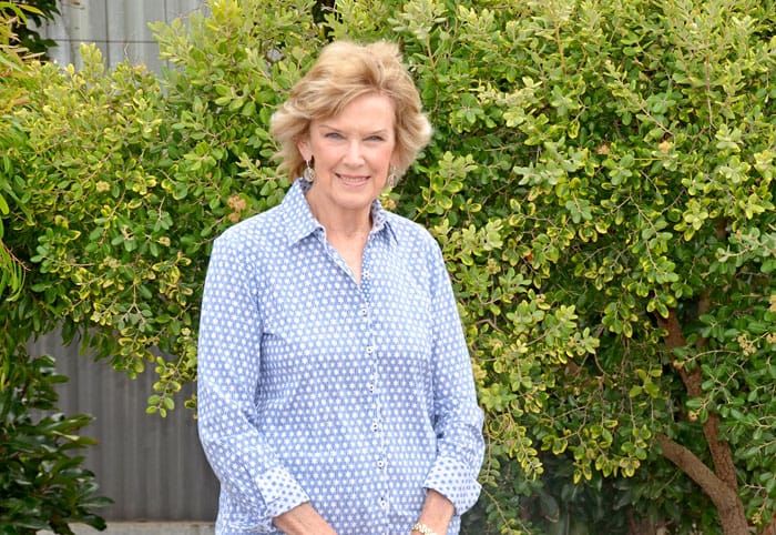 Age Friendly SA Grants awarded post image