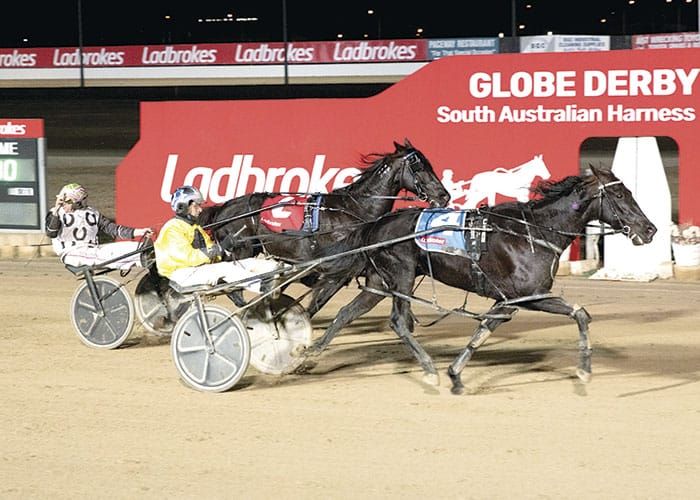 YP Harness Racing Club post image