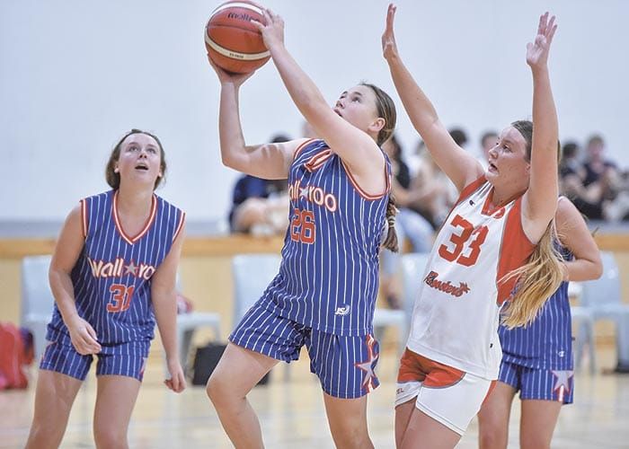 Yorke Valley basketball post image