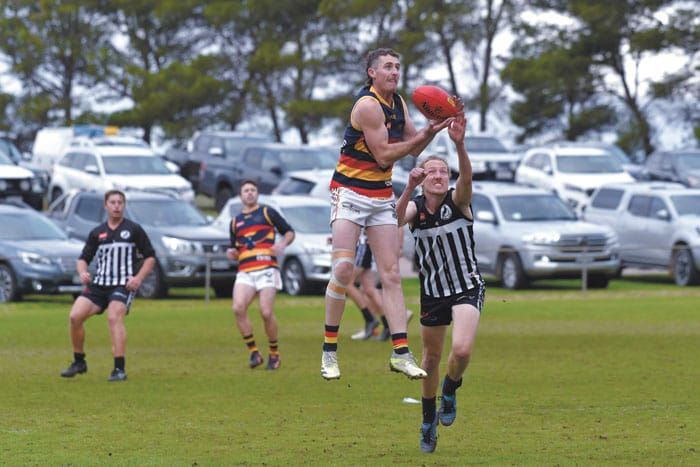 Plenty of YPFL talents named in initial zone squad post image