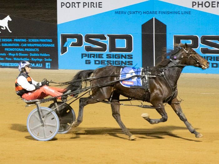 YP harness racing news post image