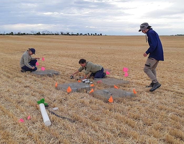 Research projects target mouse activity new normal post image