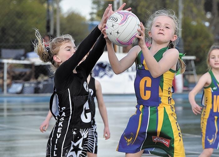 Football and netball carnivals a success post image
