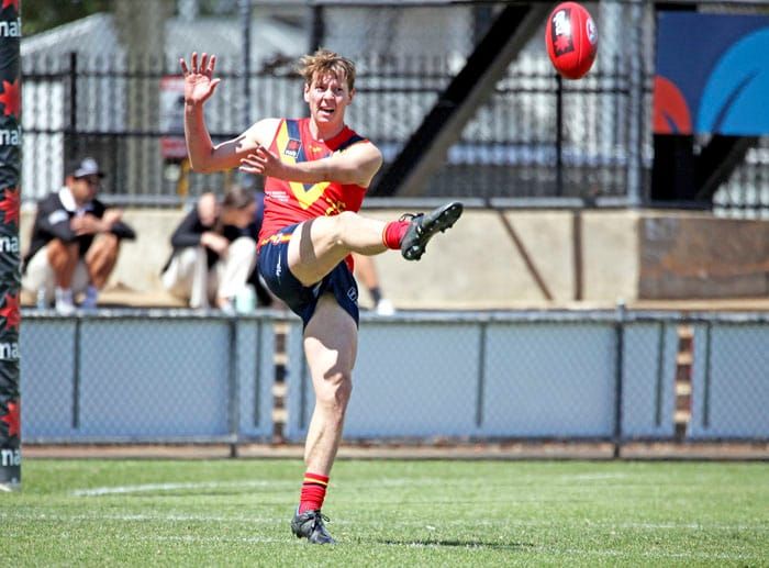 YP talents nominate for AFL draft post image