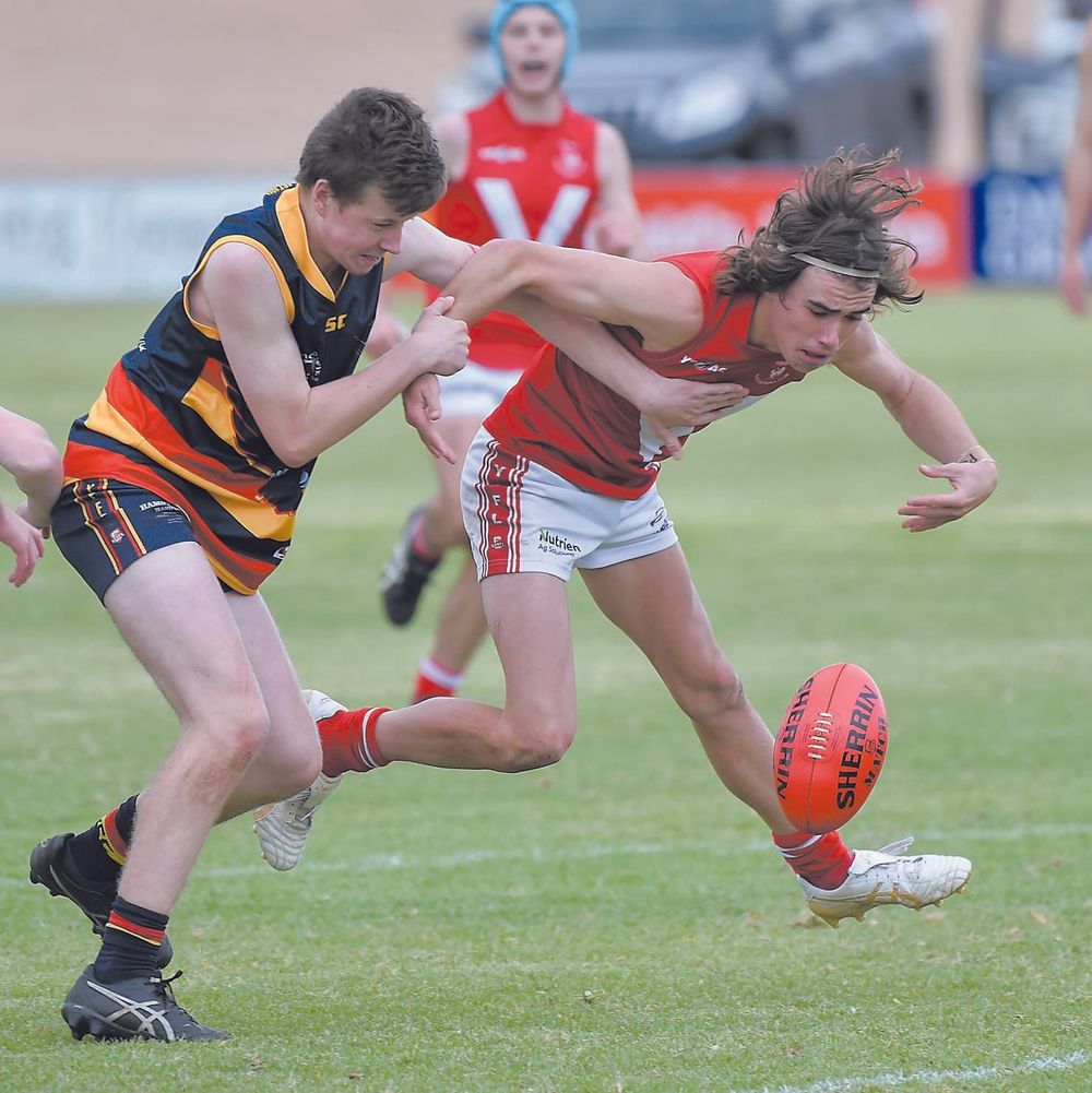 YPFL: Crows soar on young Roosters post image