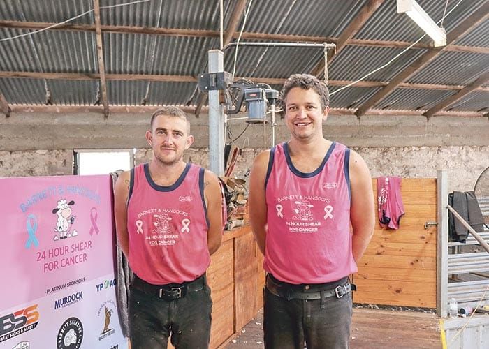 Shear success post image