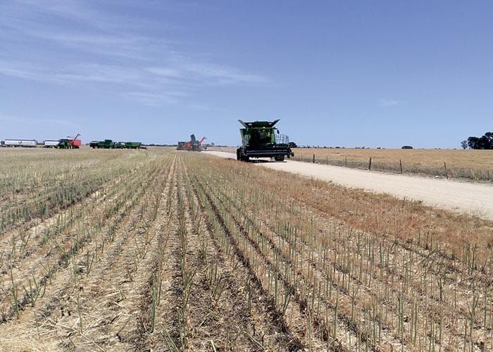 CFS keen to restore fire safety rating post image