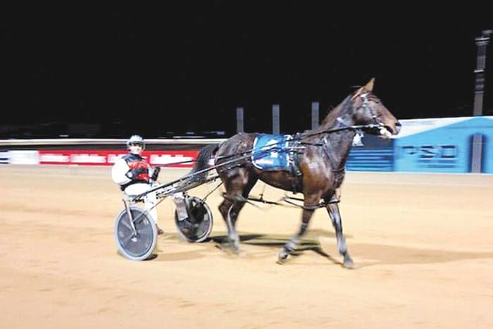 YP Harness Racing Club post image