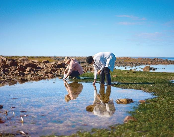 Local artists featured in Saltbush Country exhibition post image