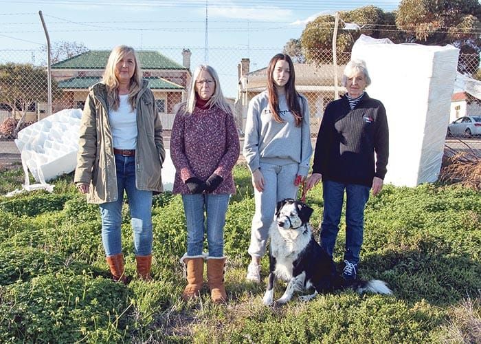 Building materials a load of rubbish post image