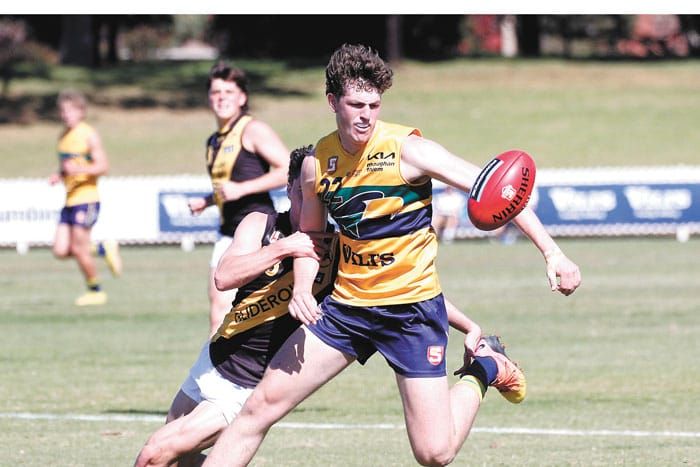 Bloodhound export in SA U16 squad post image
