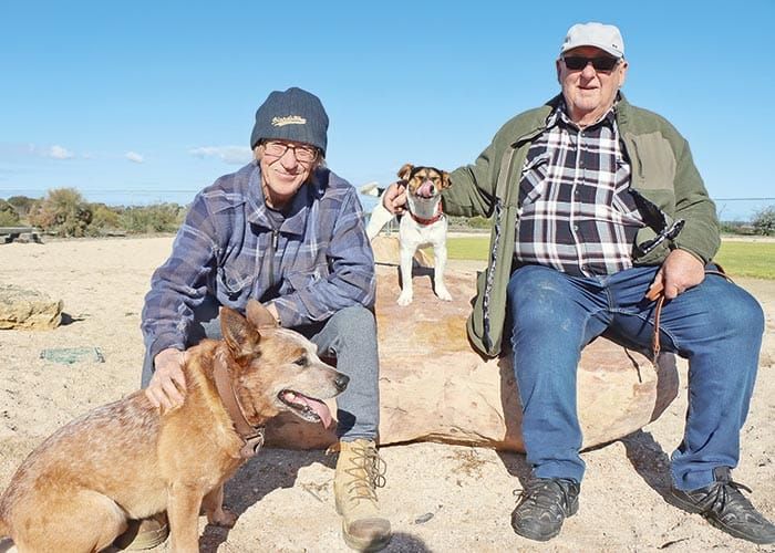 Council em-barks on pet exhibition post image