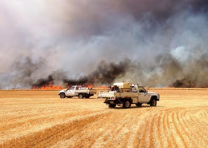 CFS retains cease harvest threshold post image