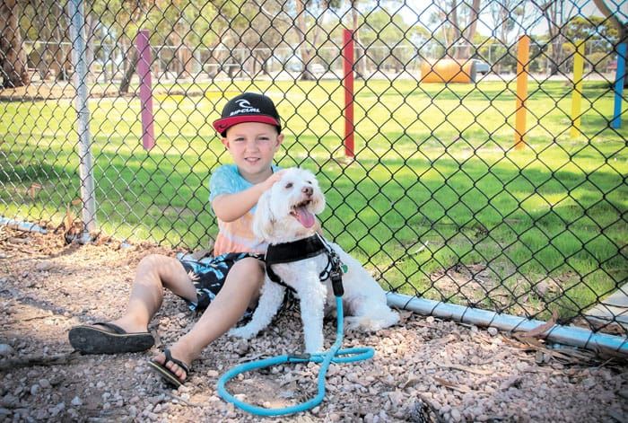 Paws-itive attraction - another park for your pooch post image