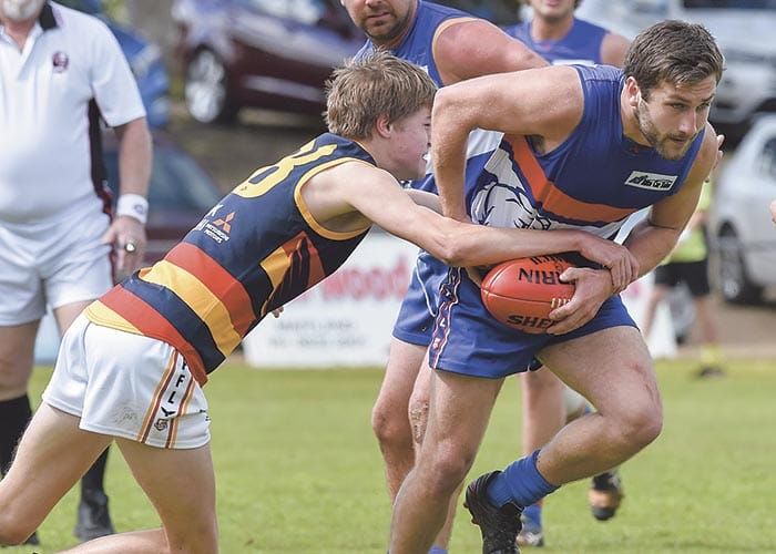 YPFL B grade: CMS keep crowing into prelim final post image