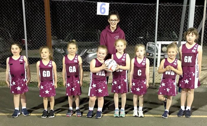 Netball: SYP scores post image