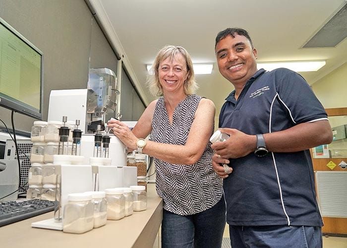 Storage may improve falling numbers post image