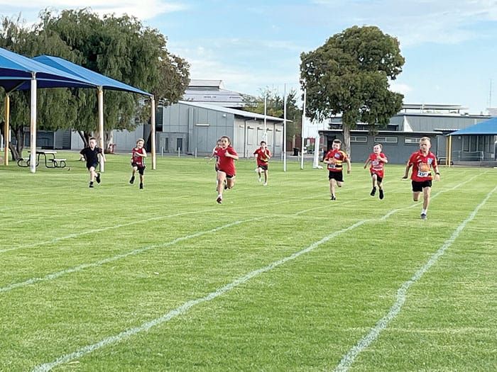 NYP Little Athletics post image