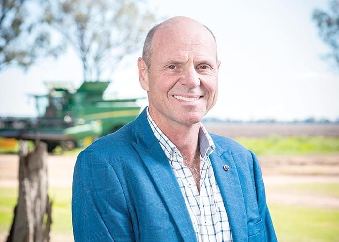 Multi-million dollar GRDC coleoptile wheat project launches post image