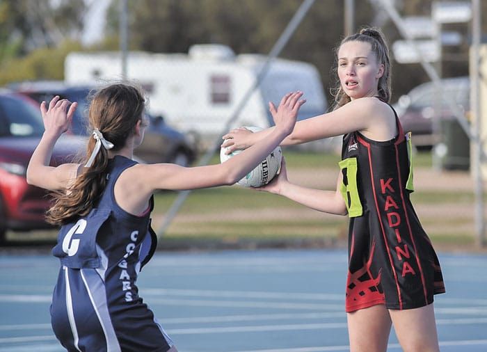 YPNA: Country carnival, here we come post image