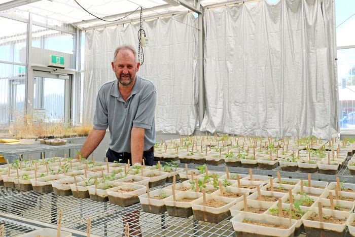 Unified approach improves herbicide resistance data post image