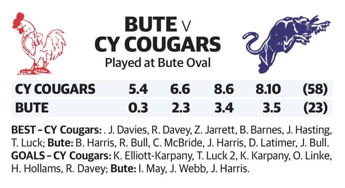 YPFL preliminary final – Senior Colts post image