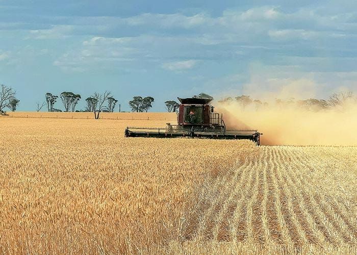 Don’t be a bright spark this harvest post image