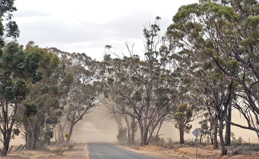 Protect soils and yields with advice from an expert panel post image