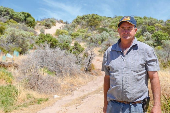Thidna vegetation destroyed post image