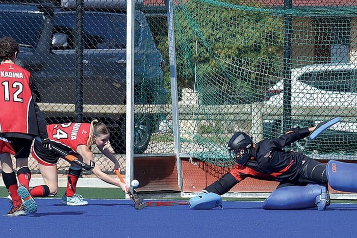 YP Hockey Association post image