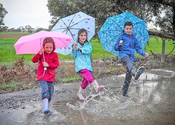 Rain, rain, here to stay post image