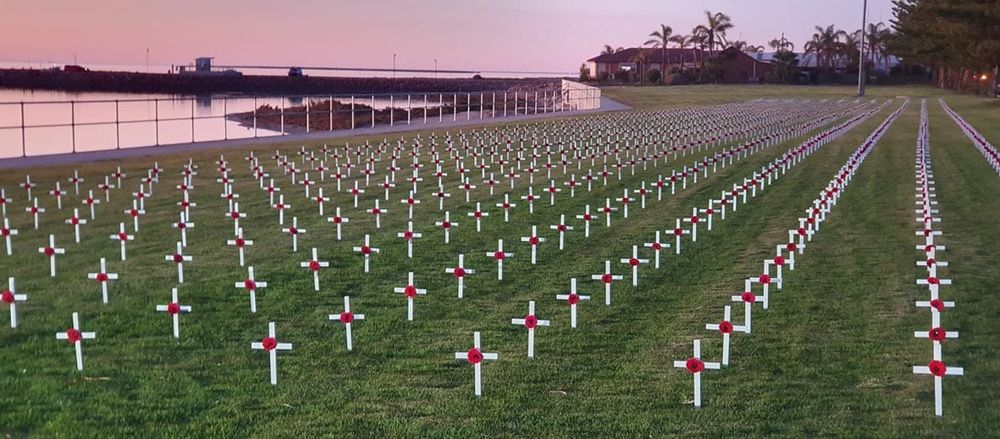 Foreshore blossoms for Anzac tribute post image