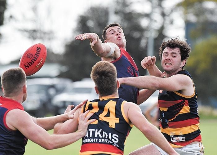 YPFL... Week one of finals done and dusted post image