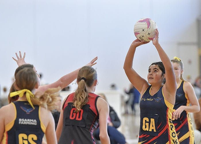 Netball: YPNA scores and reports post image