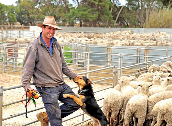 Big wet hits YP post image