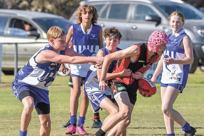 YPFL: Bloodhounds maul Roos post image