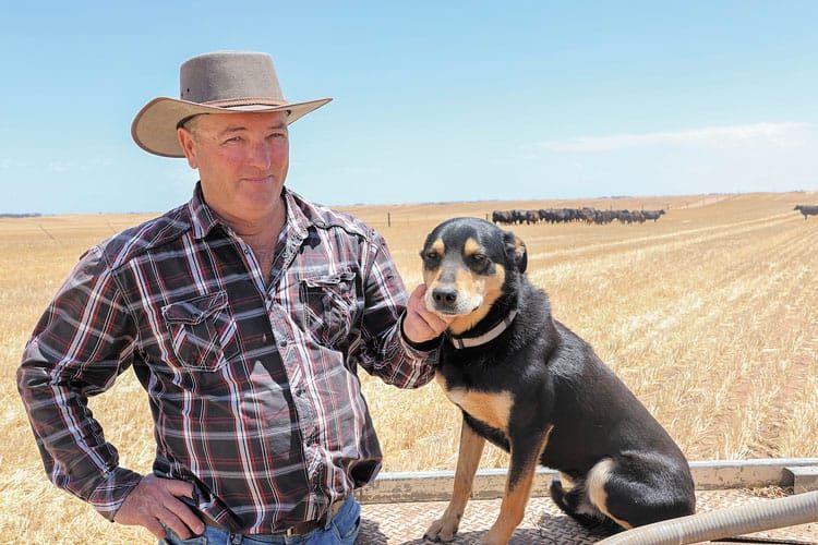 AT A CROSSROADS - heartbroken son calls for licence tests post image