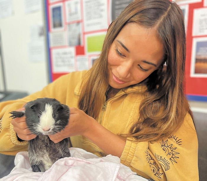 Yorketown’s new classroom companions post image