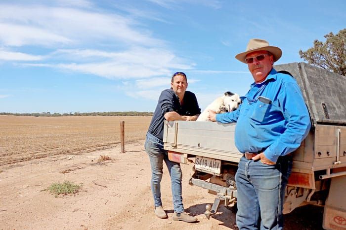 Looking into land access post image