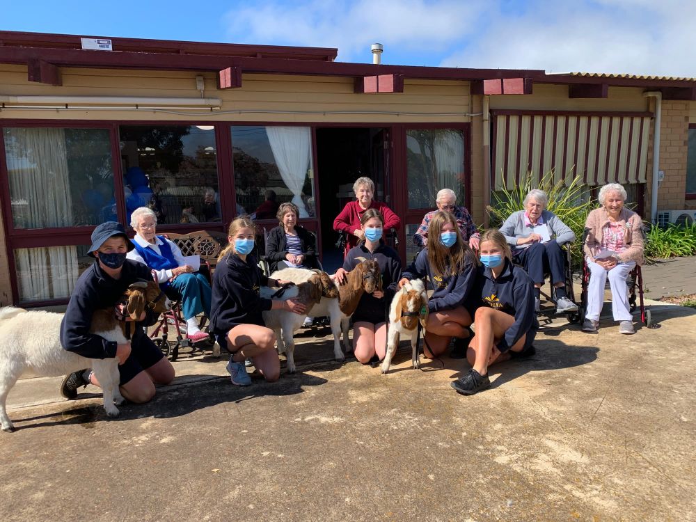 Show goes on for KMS goats post image